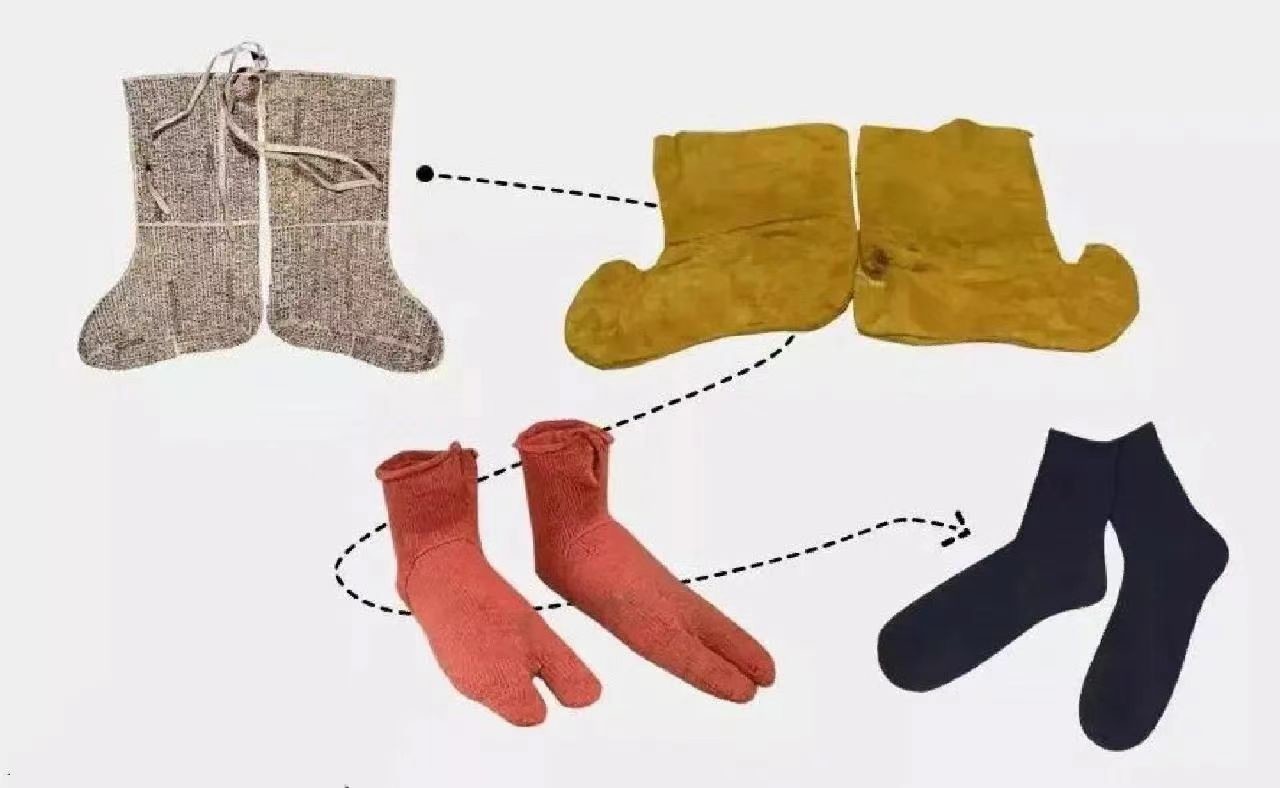 Latest company blogs about The History and Evolution of Socks: From Function to Fashion