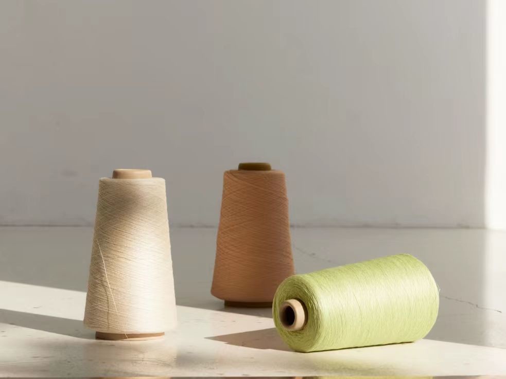 Latest company blogs about Cotton vs. Bamboo vs. Nylon: Which Sock Material Is Right for You?